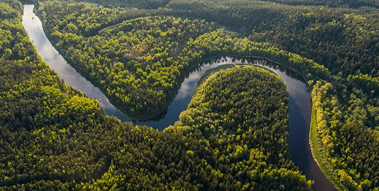 Business school collaboration: Embracing our responsibility towards our planet
