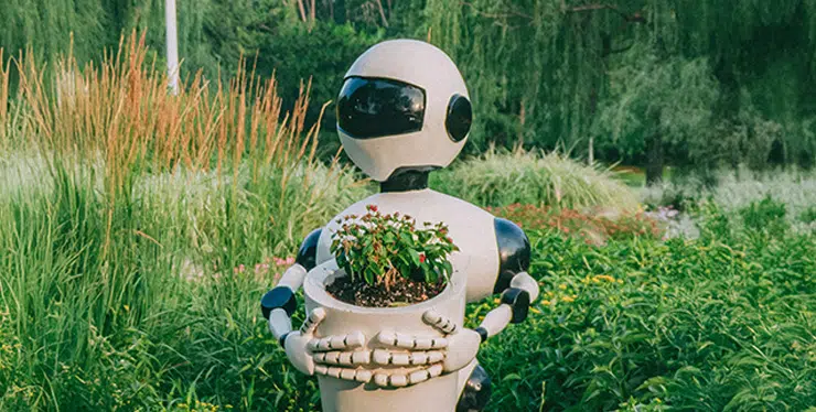 Sustainability’s AI paradox