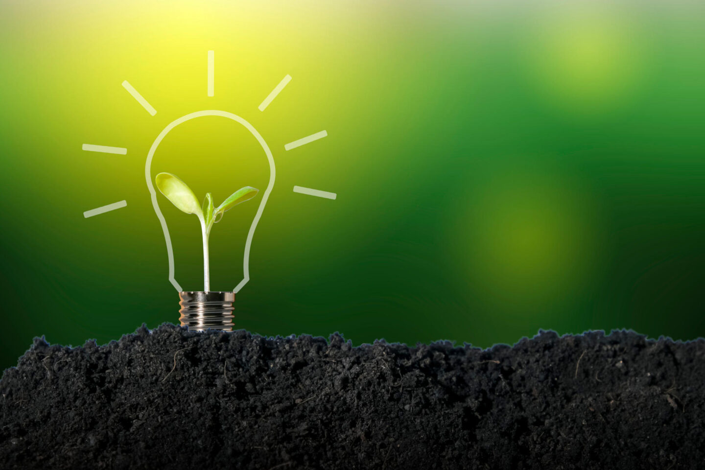 Concept of sustainable renewable energy sources to protect the e