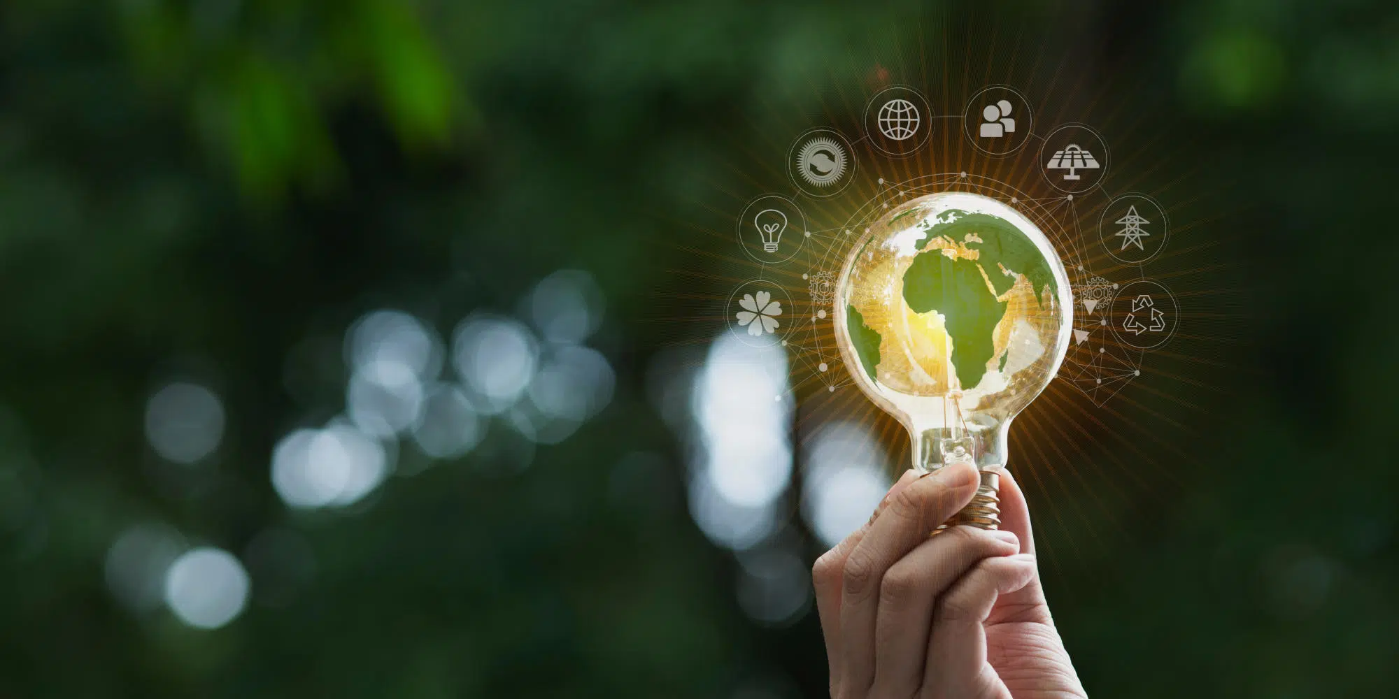 Power, scarcity, and the new rules of the game - IMD Business School