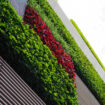 Why a new nature of business can still become a reality