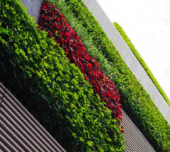 Why a new nature of business can still become a reality