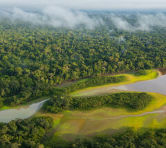 IbyIMD-SustainabilityGeopolitics-EVENT-IbyIMD-SeriesLandingPage-Content50x50-1080x1080