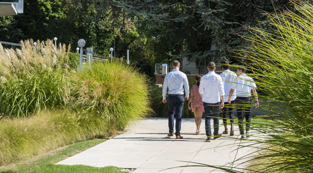 Greening AI - IMD Business School