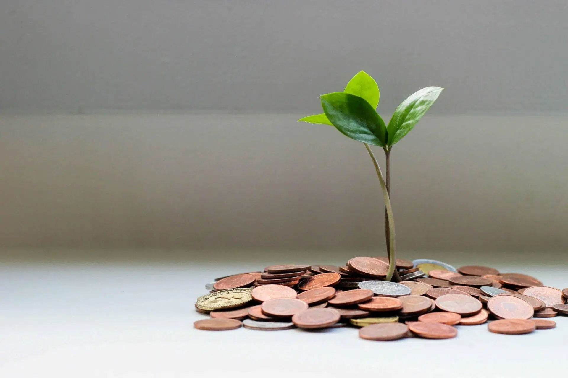 Redesign pay incentives - Climate promises into action