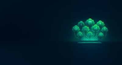 Nurturing-the-digital-rainforest-2