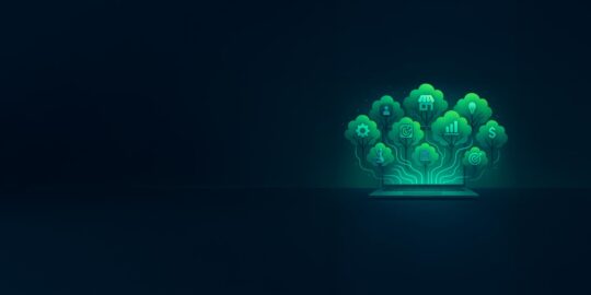 Nurturing-the-digital-rainforest-2 - IMD Business School