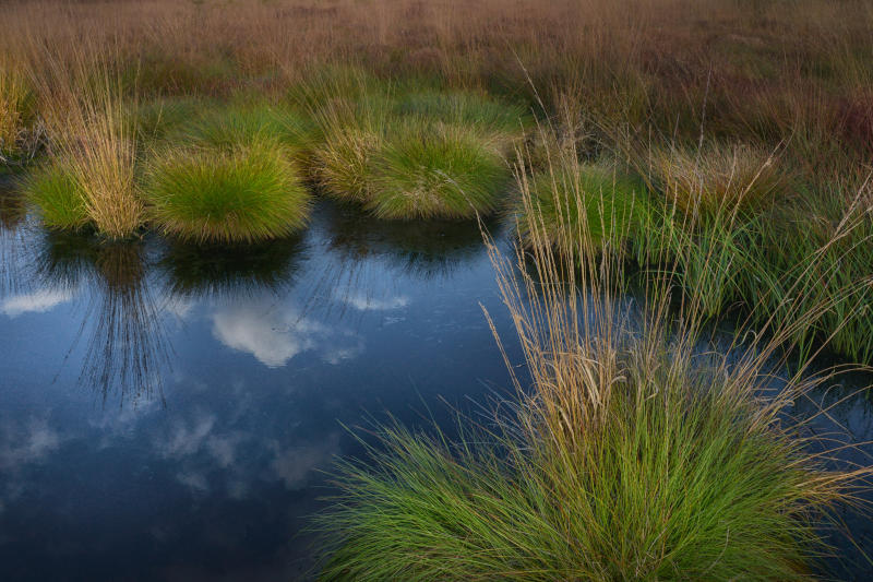 Moorlandschaft mit Spiegelung