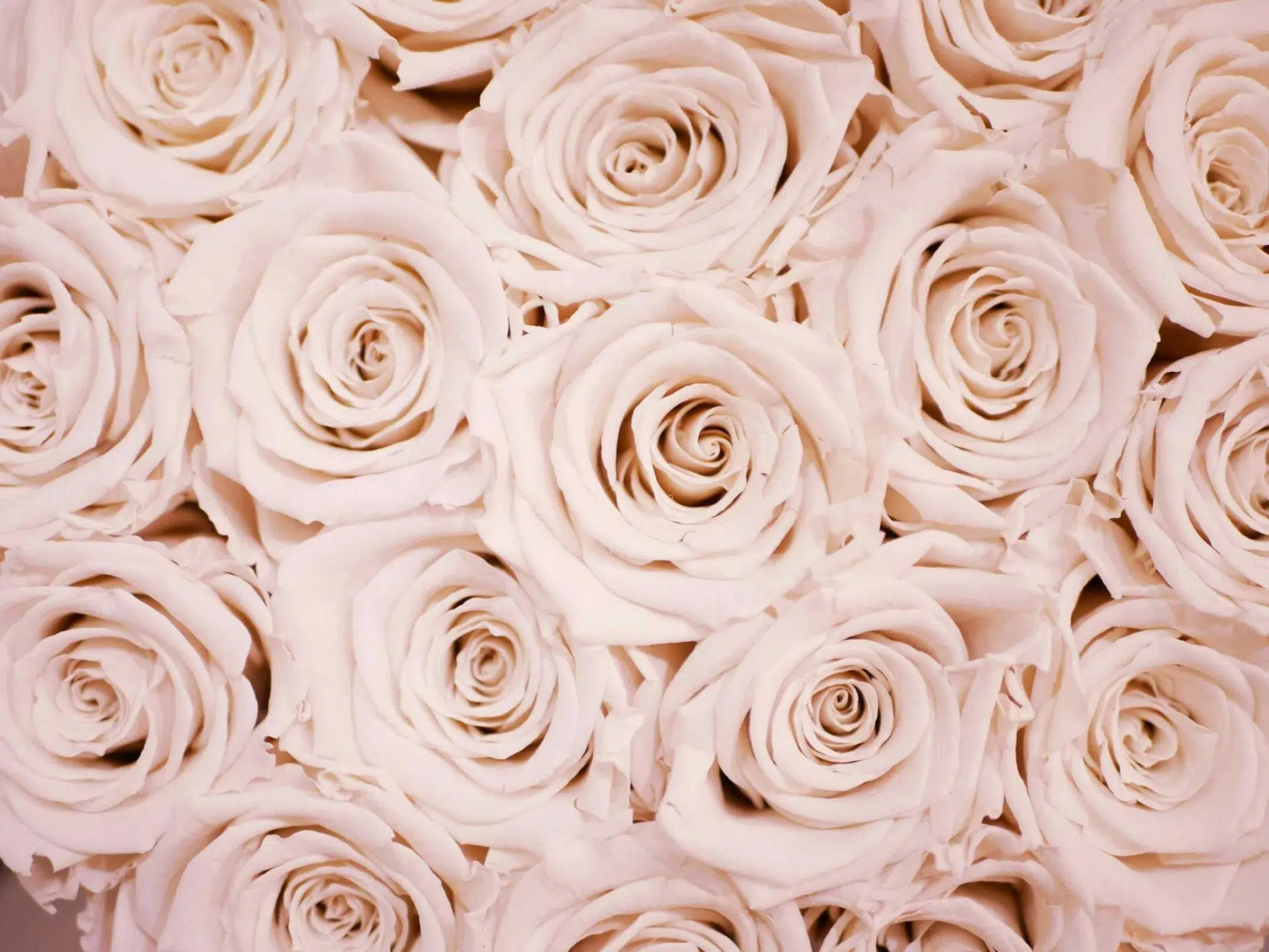 From me to we: The Rose Gold Rule is future of leadership