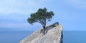  - IMD Business School