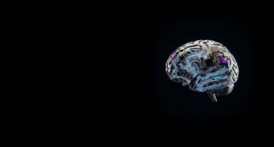 Brain Circuits – Most Read -2026 Brain Circuits - Most Read -2026