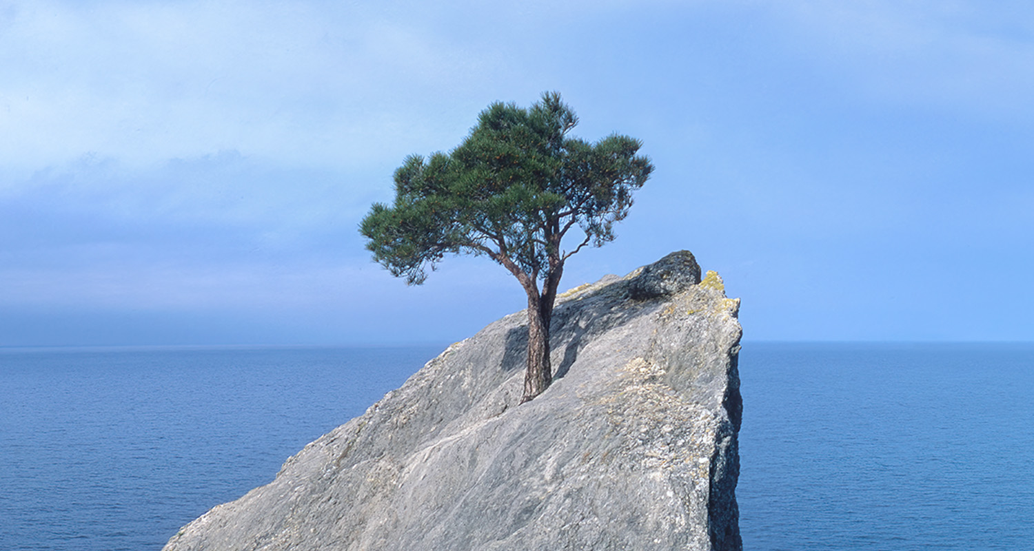  - IMD Business School