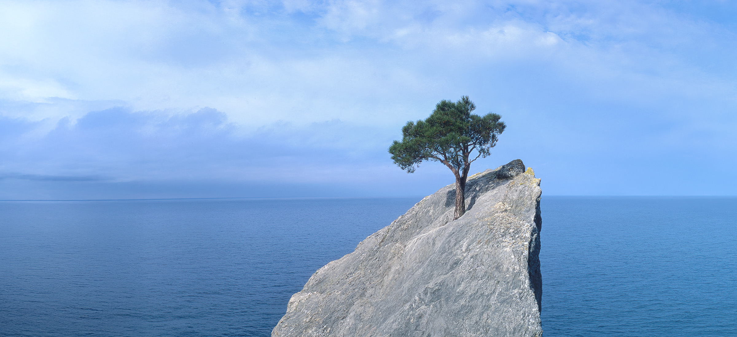 tablet-2400x1100 - IMD Business School