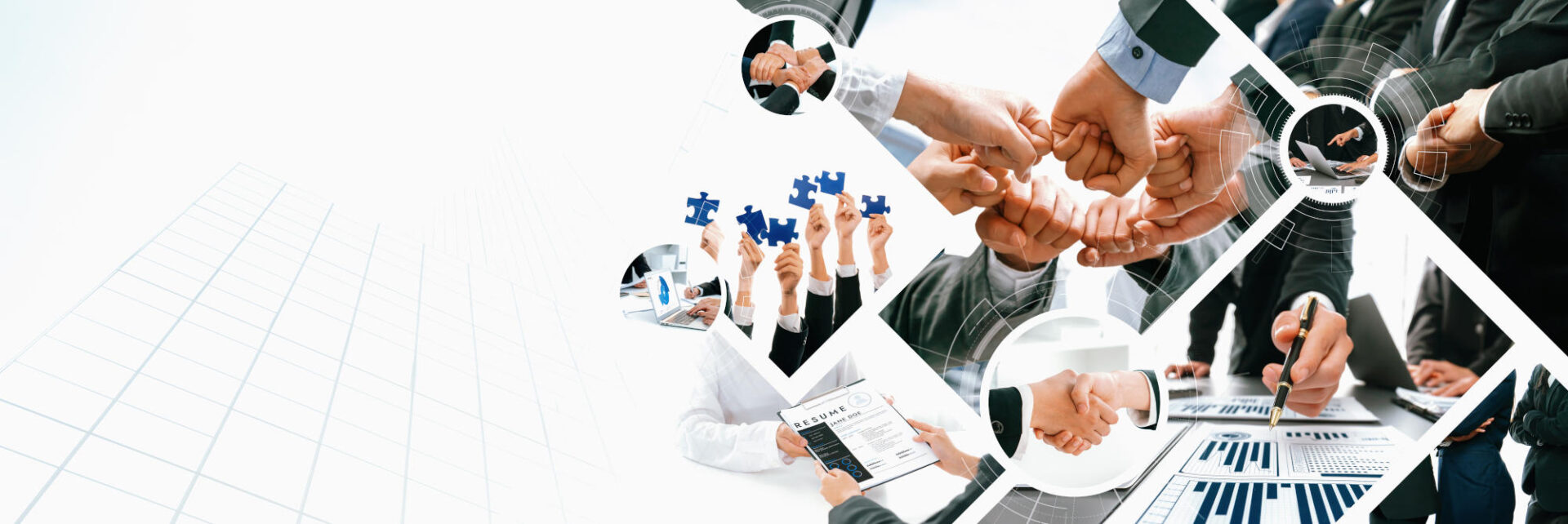 Teamwork and human resources HR management technology for business vexel