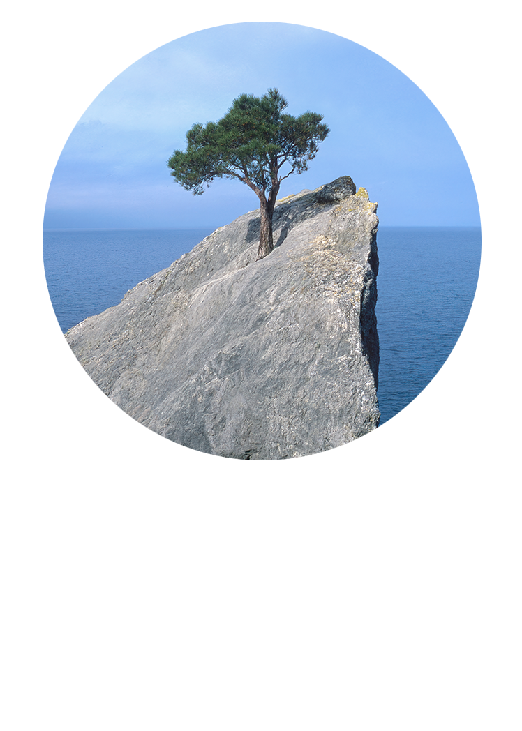 20260202-SPRINT-RLS-Blocks-Tablet-748x1048 - IMD Business School