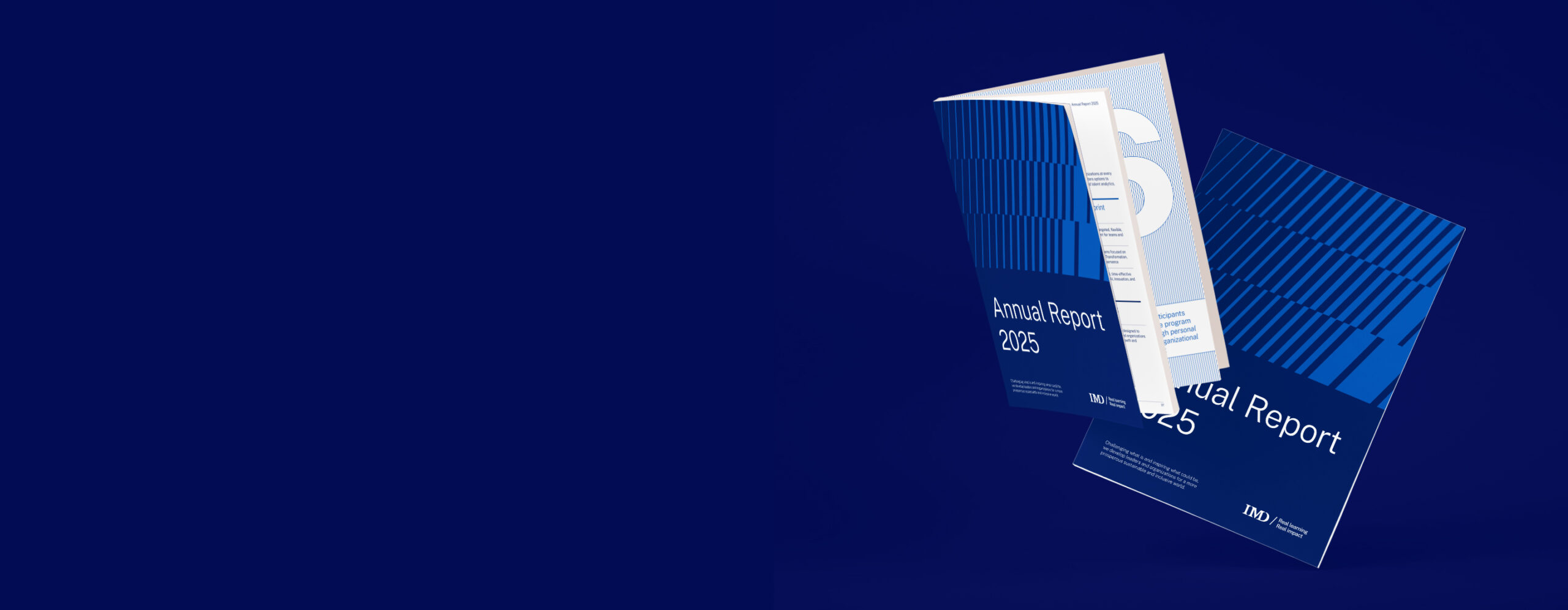 AR-SR2025-PromotionalAssets_imdorg-Homepage-2880x1120 - IMD Business School