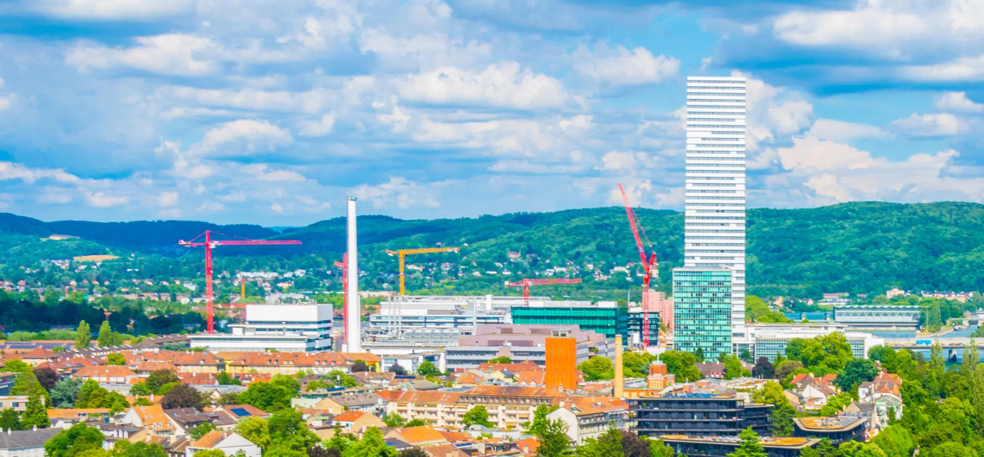 How Roche is rewriting what corporate leadership looks like