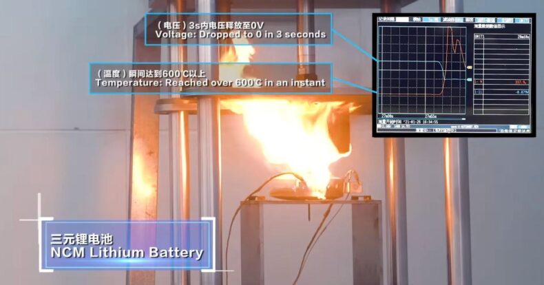 BYD Cell - IMD Business School