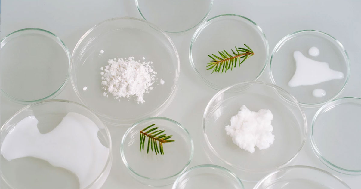 Seprify-SilvaLuma-2 - IMD Business School