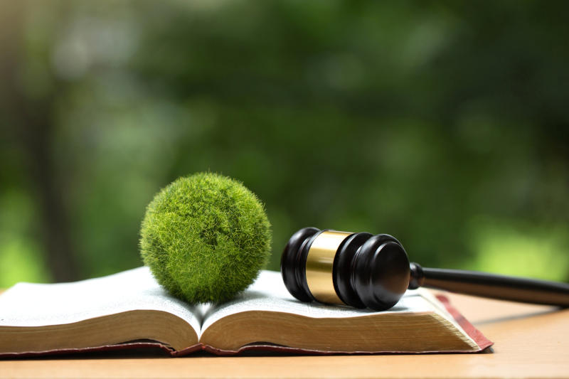 Environment Law Green globe placed and gavel on a law book law for principles of sustainable environmental conservation environmental protection and eco-friendly legislation law Save EarthESG