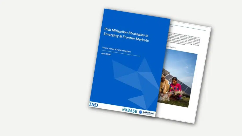 Risk Mitigation Strategies - IMD Business School