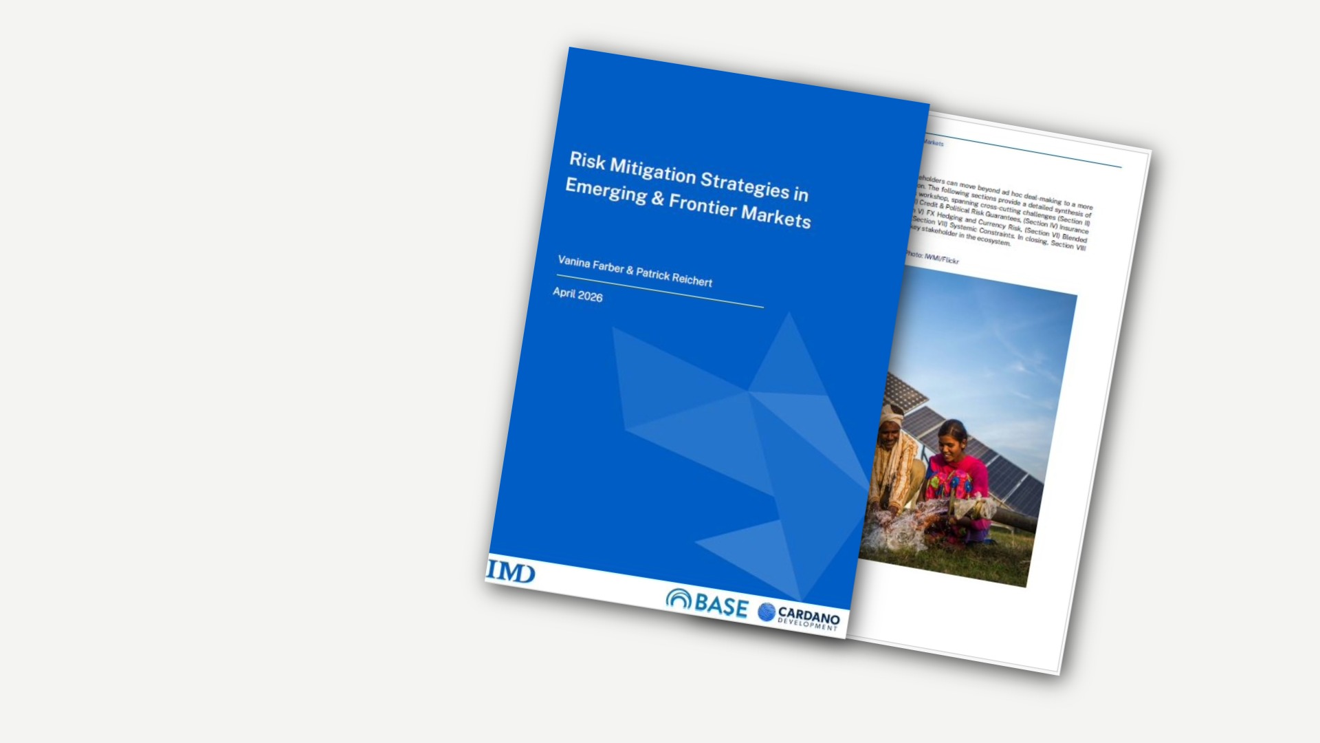 Risk Mitigation Strategies - IMD Business School