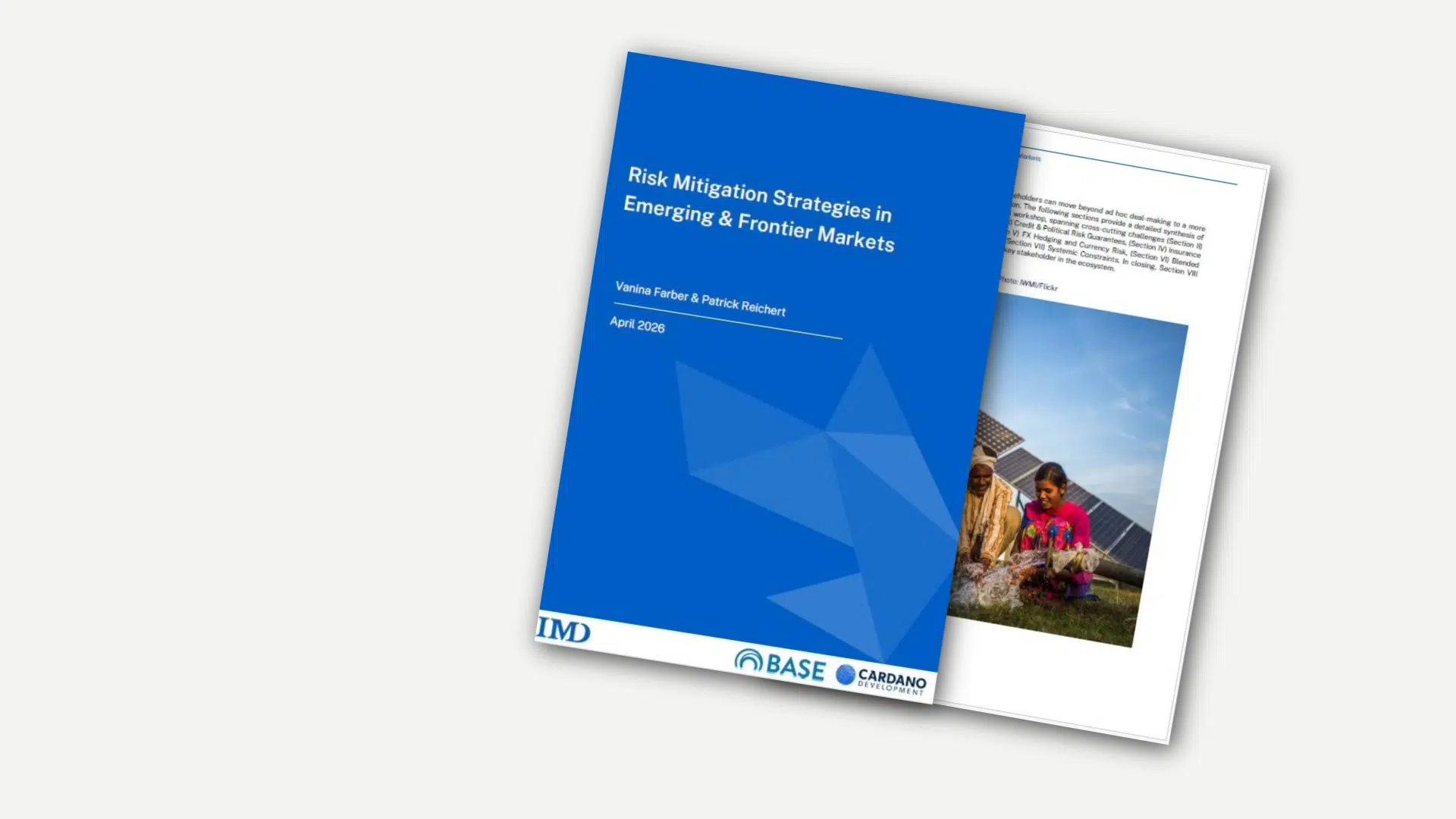 Risk Mitigation Strategies - IMD Business School
