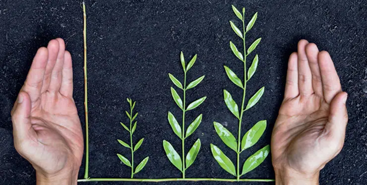 Finance for a sustainable society at Triodos Investment Management: An ESG portfolio investment decision