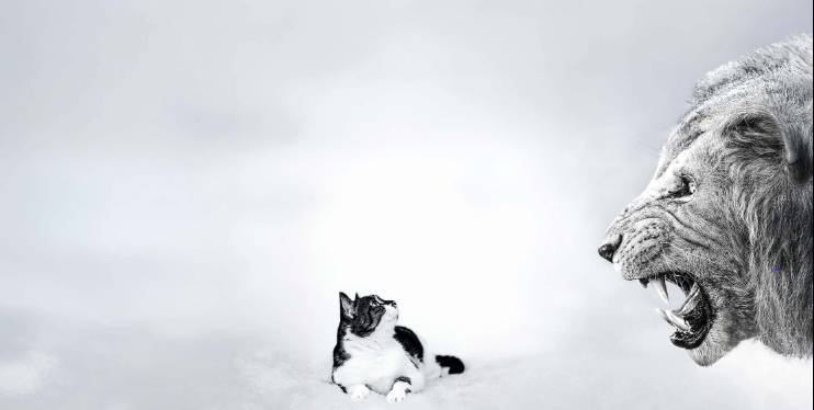 THE_SANDBOX_MONTAGE_4_MERETE_oxa-roxa_via_unsplash