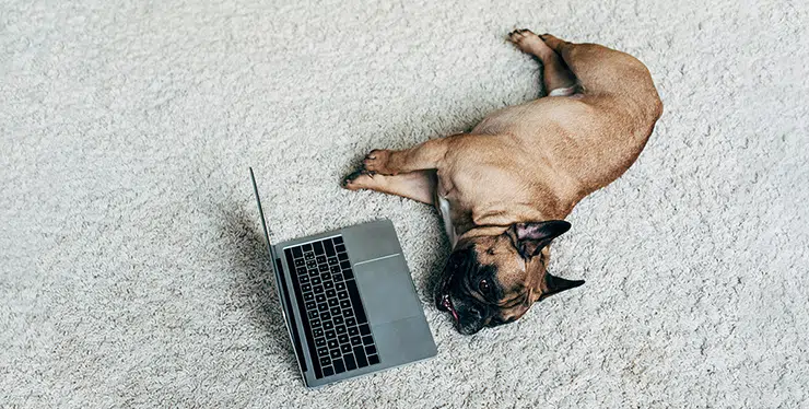 How to recover from work stress, according to science