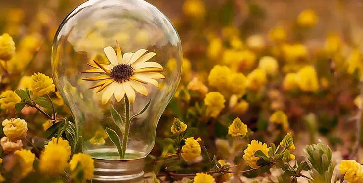 In a crisis, ecosystem businesses have a competitive advantage