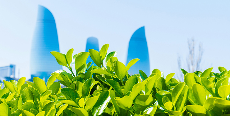 What type of sustainability approach does your business have?