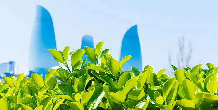 What type of sustainability approach does your business have?