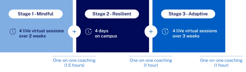 20260804-TL-journey-graph - IMD Business School Three-stage program timeline: Stage 1 Mindful with 4 live virtual sessions over 2 weeks; Stage 2 Resilient with 4 days on campus; Stage 3 Adaptive with 4 live virtual sessions over 3 weeks. Coaching times: Stage 1 (1.5 hours), Stage 2 (1 hour), Stage 3 (1 hour). - IMD Business School