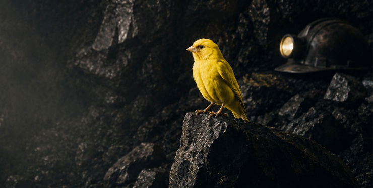 yellow canary in a dark coal mine illustrates how employee dissent and behavioral friction can reveal deeper organizational problems