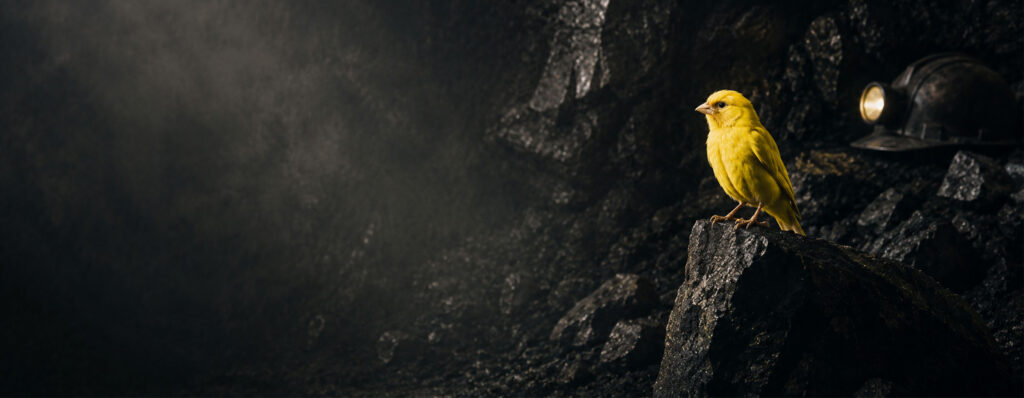 yellow canary in a dark coal mine illustrates how employee dissent and behavioral friction can reveal deeper organizational problems - IMD Business School - IMD Business School