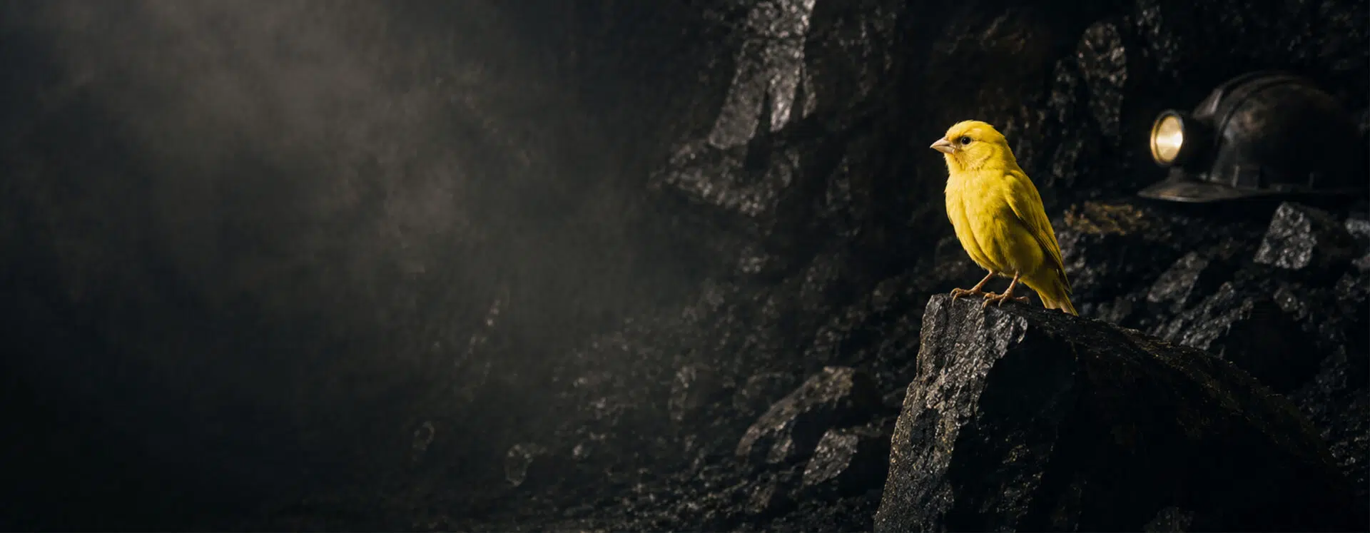 Is your employee really difficult? - Robert Vilkelis