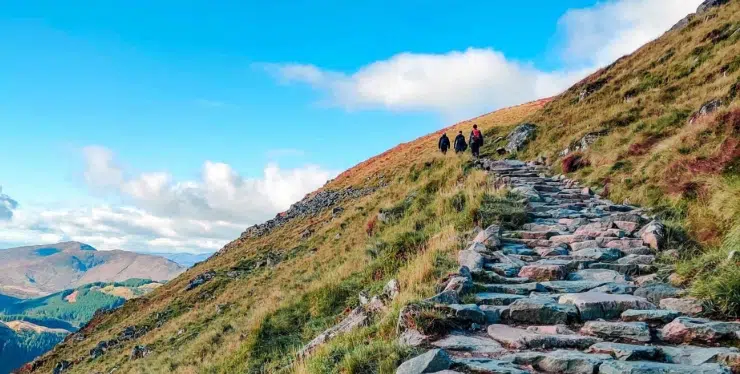 Stone stair path climbs a grassy hillside with a distant group of hikers under a blue sky. - IMD Business School