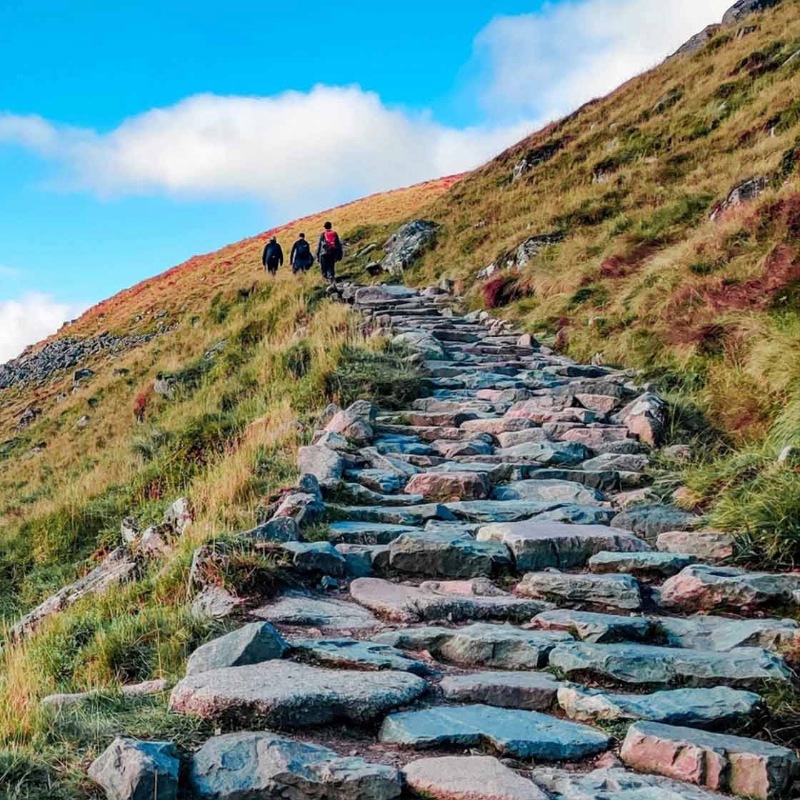Stone steps wind up a grassy mountainside as three hikers ascend.