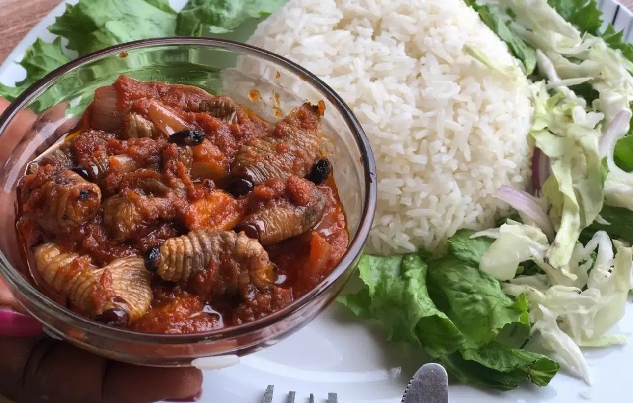 Glass bowl with snail stew in tomato sauce, served beside a mound of white rice and a lettuce/cabbage salad on a plate. - IMD Business School