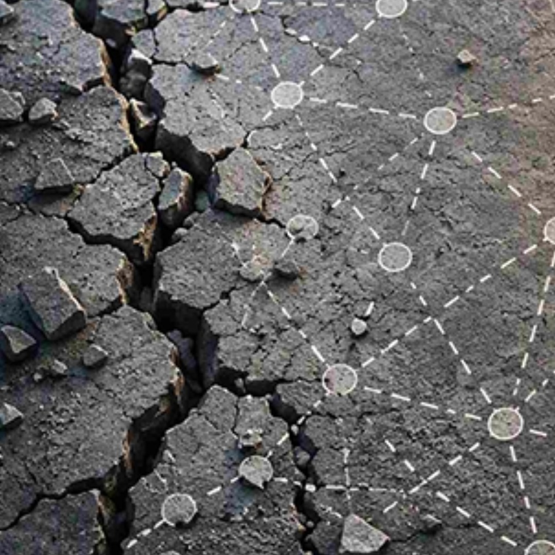 Resilience and transformation