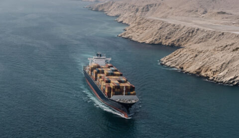 Container ship laden with multicolored shipping containers sails through a narrow waterway between rocky desert cliffs.
