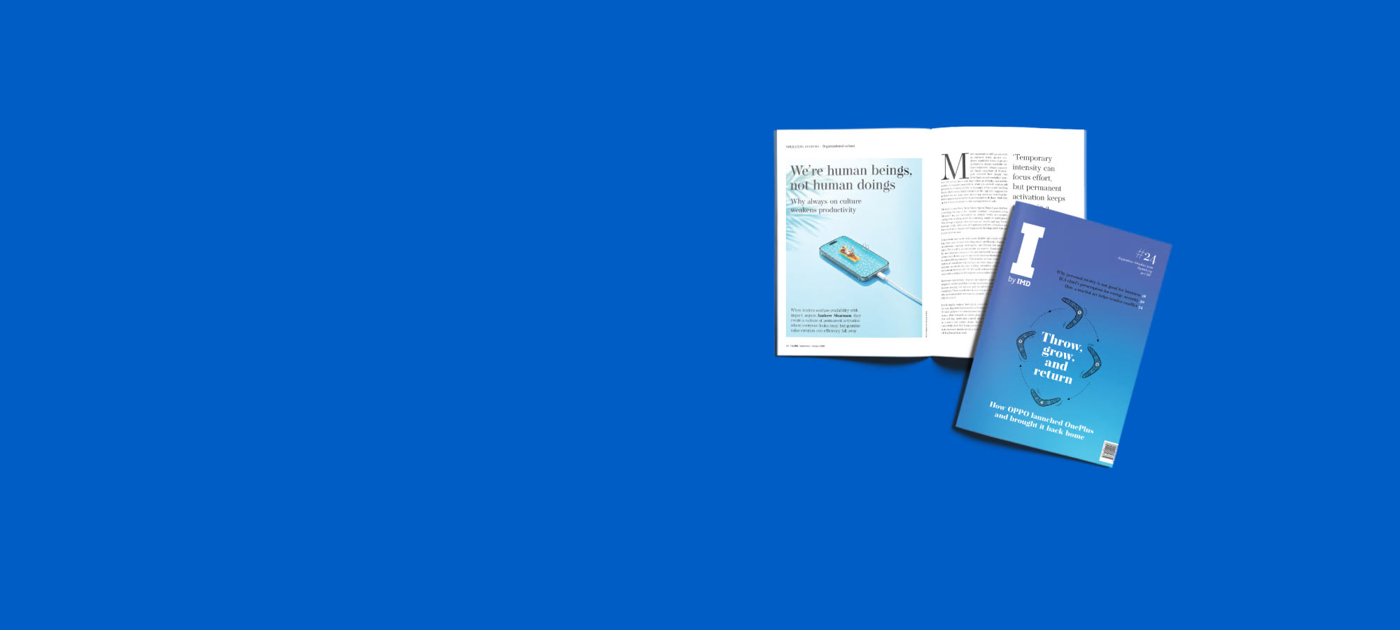 IMD #24 Cover Image
