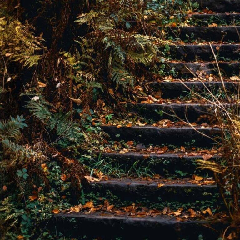 Climbing the corporate stairs demands patience and aptitude