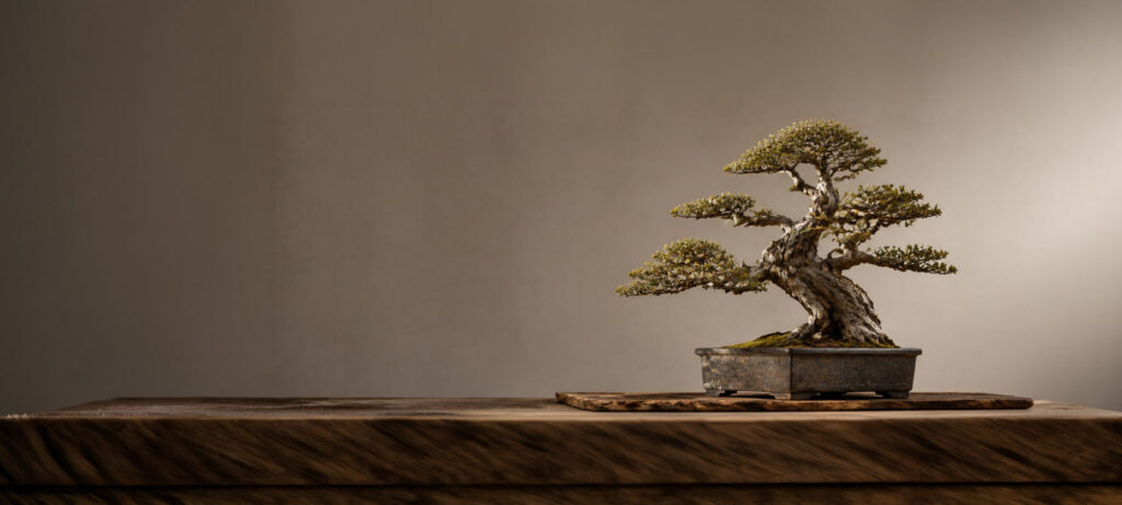 Bonsai tree on a table - IMD Business School - IMD Business School