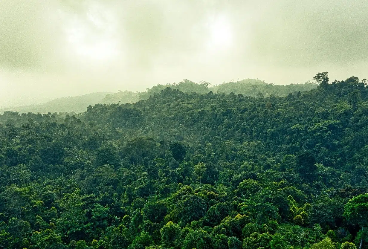 Sustainability - IMD Business School