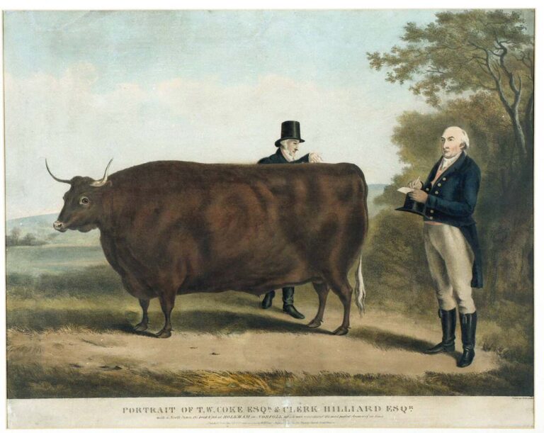 Playing for high stakes (or maybe steaks): visitors to a county fair in 1906 proved uncannily accurate at guessing the weight of an ox.