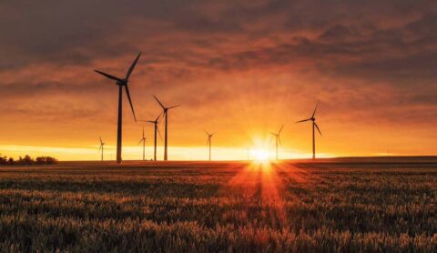 Wind farm at sunset