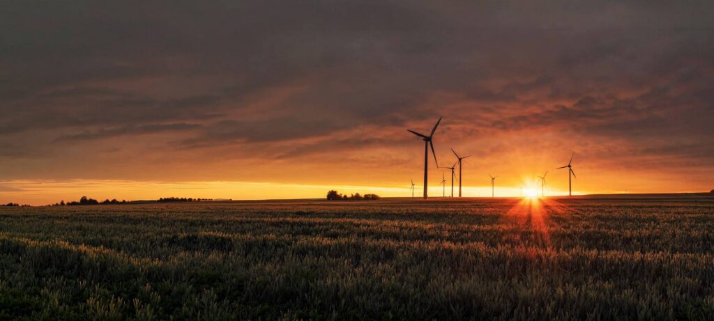 Wind farm at sunset - IMD Business School - IMD Business School