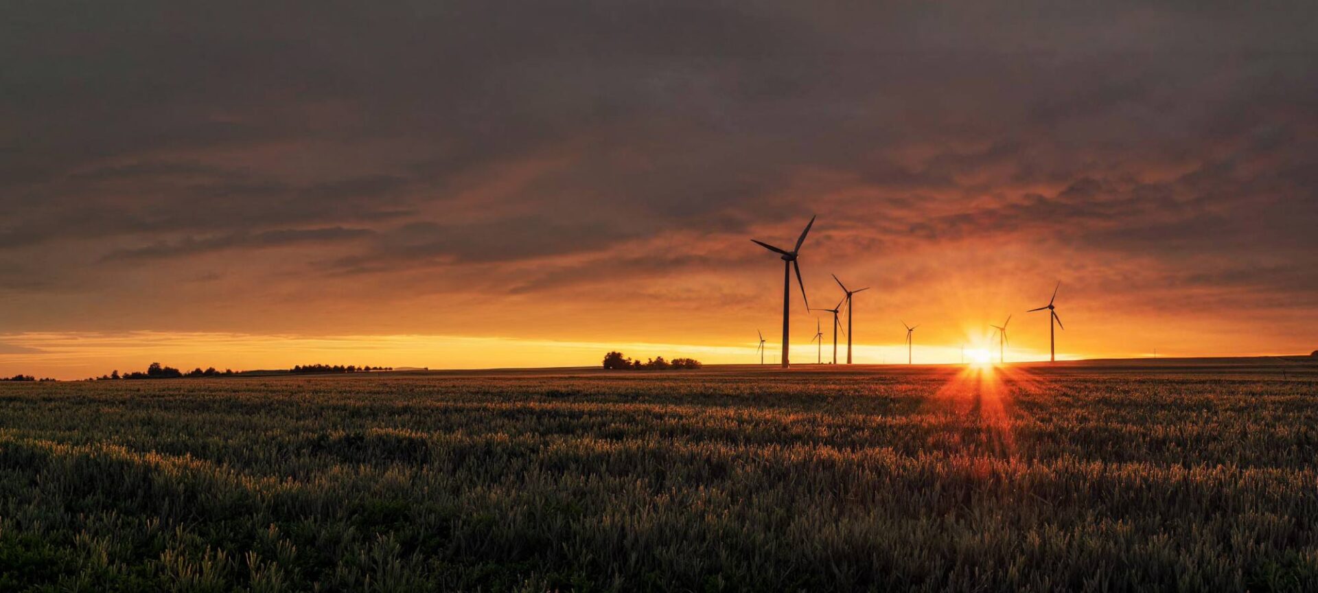 Wind farm at sunset